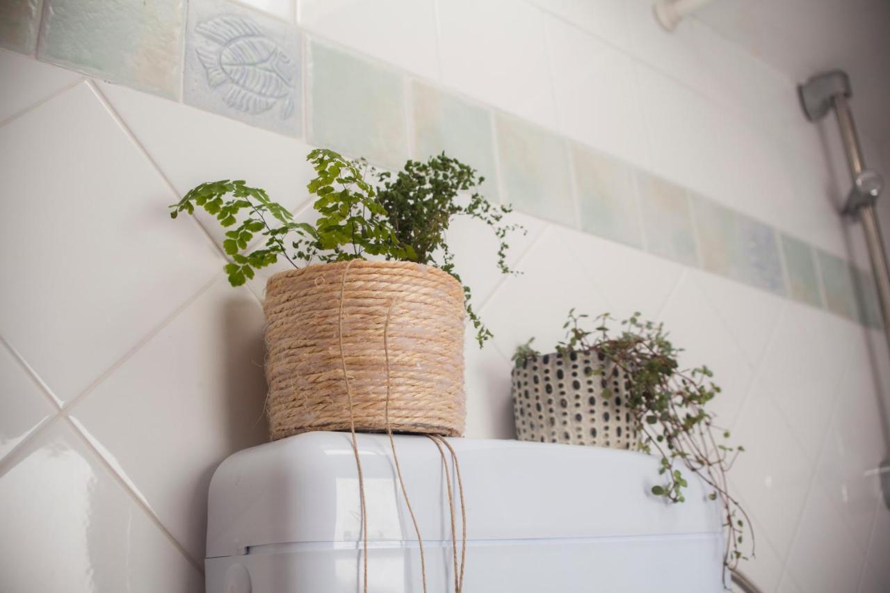 Amarilis Rooms Grožnjan Zewnętrze zdjęcie