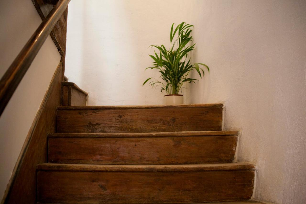 Amarilis Rooms Grožnjan Zewnętrze zdjęcie